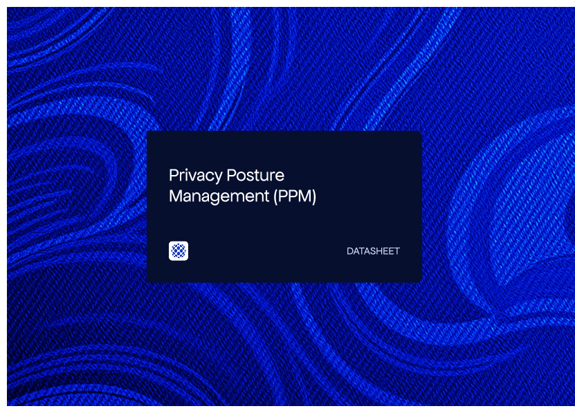 Privacy Posture Management (PPM)
